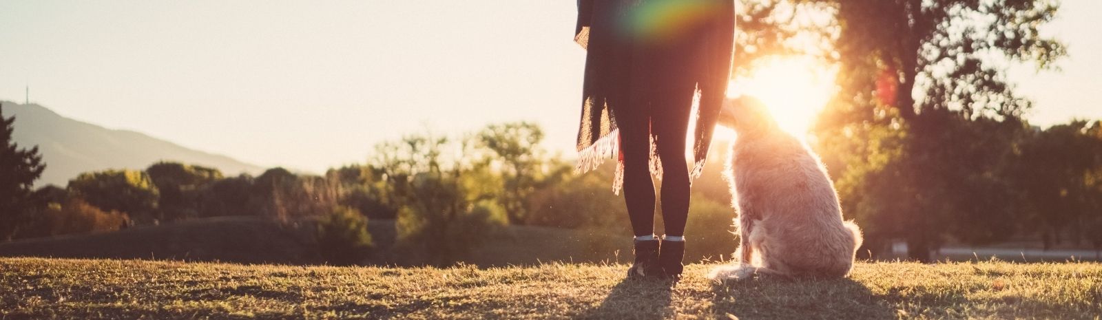 Woman standing next to a white dog overlooking rolling hills and glowing sunset